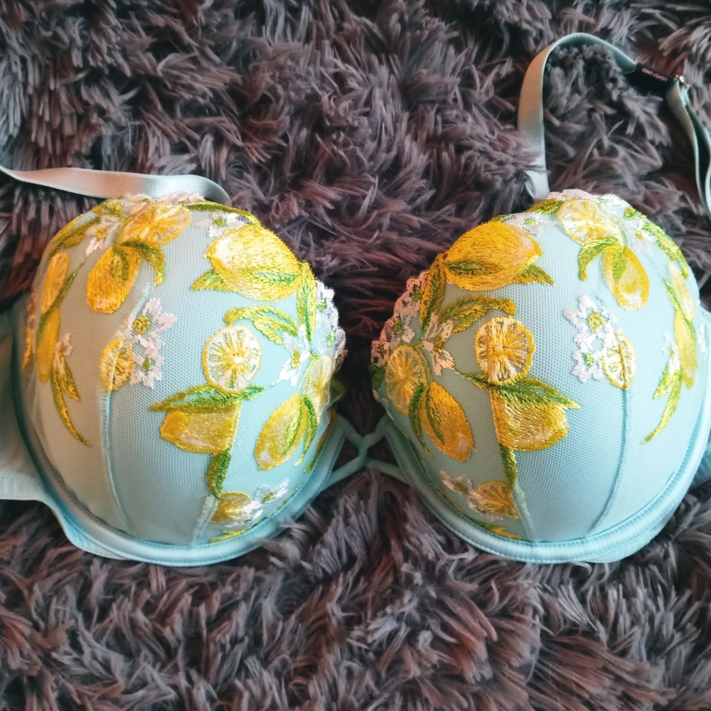 VS Dream Angels Demi NWT